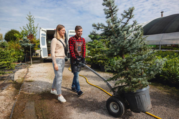 Best Seasonal Cleanup (Spring/Fall)  in Ivyland, PA